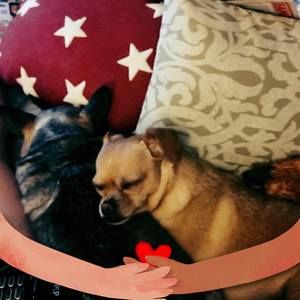 Meet your Posher, Sally